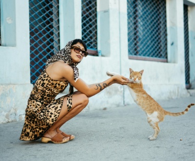 SEO in Europe’s Creative Industries