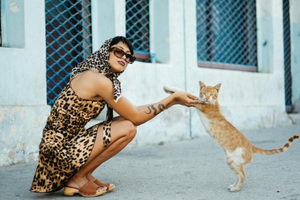 pexels-mohammed-el-2157937731-35054168 SEO в креативных индустриях Европы